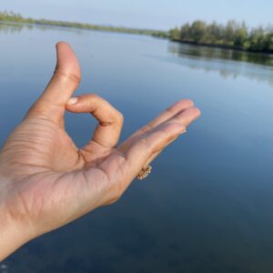 Jnana Mudra, Kapalbhati Mudra