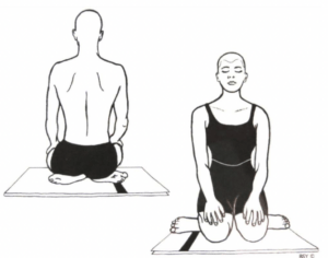 koormasana, bihar school of yoga